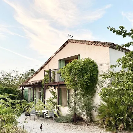 Maison Appelles - Vineyard *